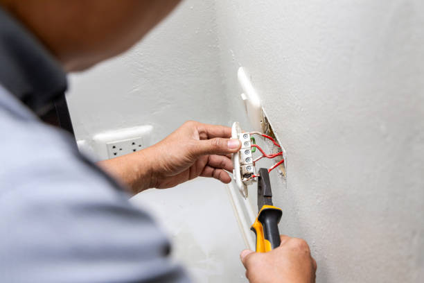 Best Ceiling Fan Installation Electrician  in Durand, IL